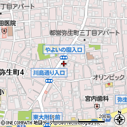 東京都中野区弥生町3丁目29-7周辺の地図