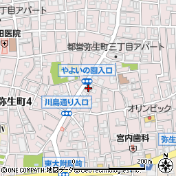 東京都中野区弥生町3丁目29-3周辺の地図