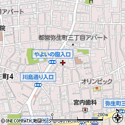 東京都中野区弥生町3丁目34-4周辺の地図