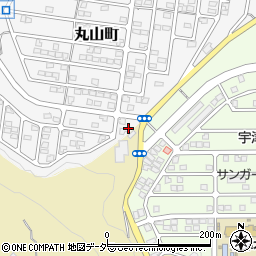 東京都八王子市丸山町22周辺の地図