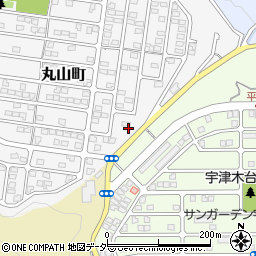 東京都八王子市丸山町9周辺の地図