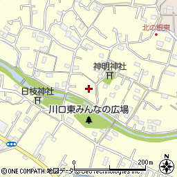 東京都八王子市川口町2009周辺の地図