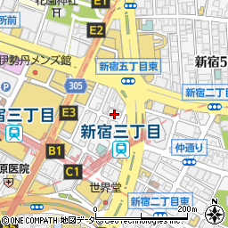 東京都新宿区新宿3丁目11-1周辺の地図