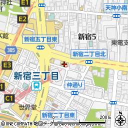 東京都新宿区新宿2丁目19-13周辺の地図