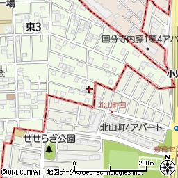 東京都国立市東3丁目21-1周辺の地図