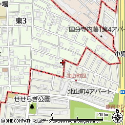 東京都国立市東3丁目21-34周辺の地図