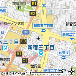 東京都新宿区新宿3丁目11-13周辺の地図