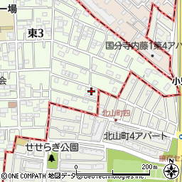 東京都国立市東3丁目21-20周辺の地図