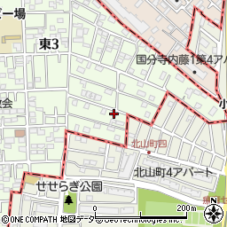 東京都国立市東3丁目21-19周辺の地図