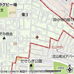 東京都国立市東3丁目21-5周辺の地図