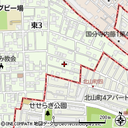 東京都国立市東3丁目21周辺の地図
