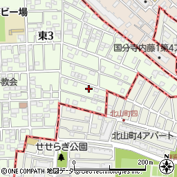 東京都国立市東3丁目21-18周辺の地図