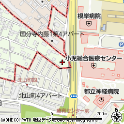 東京都国立市東3丁目33-1周辺の地図