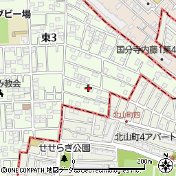 東京都国立市東3丁目21-17周辺の地図
