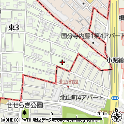 東京都国立市東3丁目23周辺の地図