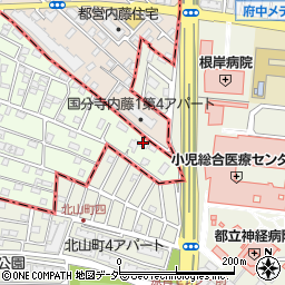 東京都国立市東3丁目33-7周辺の地図