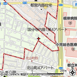 東京都国立市東3丁目33-11周辺の地図
