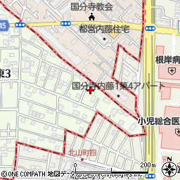 東京都国立市東3丁目33-15周辺の地図