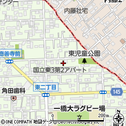 東京都国立市東3丁目3-19周辺の地図