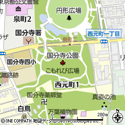 国分寺公園周辺の地図