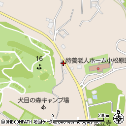 東京都八王子市犬目町791周辺の地図