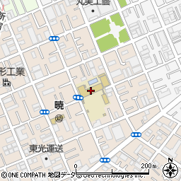 江戸川区立南篠崎小学校周辺の地図