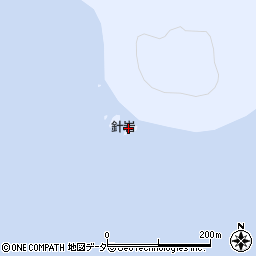 針岩周辺の地図