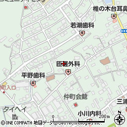 千葉県匝瑳市八日市場イ1995周辺の地図