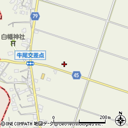 千葉県香取郡多古町牛尾868周辺の地図