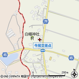 千葉県香取郡多古町牛尾234周辺の地図