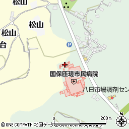 千葉県匝瑳市八日市場イ1308周辺の地図