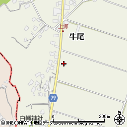 千葉県香取郡多古町牛尾930周辺の地図