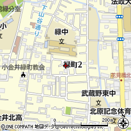 東京都小金井市緑町2丁目11-6周辺の地図