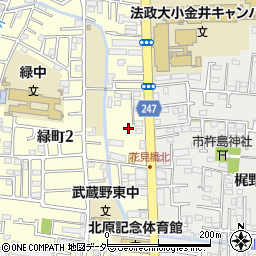 東京都小金井市緑町2丁目8周辺の地図