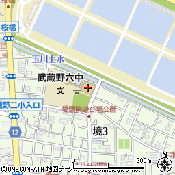 武蔵野市立第六中学校体育館周辺の地図