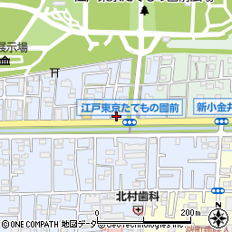 江戸東京たてもの園前周辺の地図