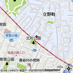 東京都練馬区立野町20周辺の地図