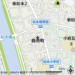 東京都江戸川区鹿骨町407周辺の地図