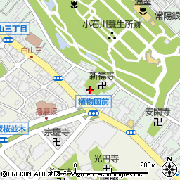 東京都文京区白山3丁目1周辺の地図