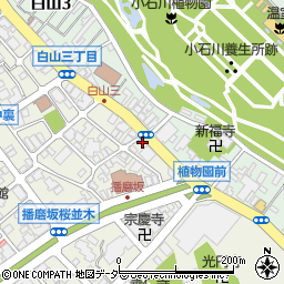 柄沢商店周辺の地図