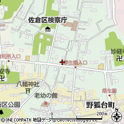 幸田薬局弥勒町本店周辺の地図