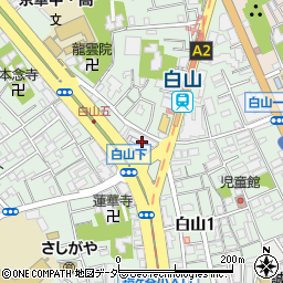 東京都文京区白山5丁目1-3周辺の地図