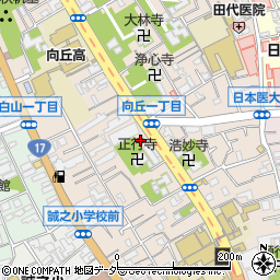 ヤクルト　東京ヤクルト販売台東本店向丘センター周辺の地図