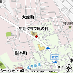 千葉県佐倉市本町145周辺の地図