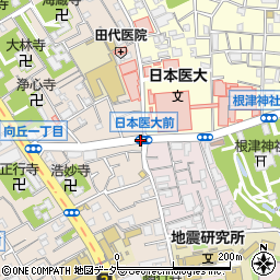 日本医大前周辺の地図