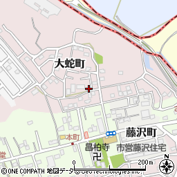 千葉県佐倉市大蛇町482-5周辺の地図