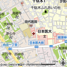 日本医科大学　千駄木校舎周辺の地図