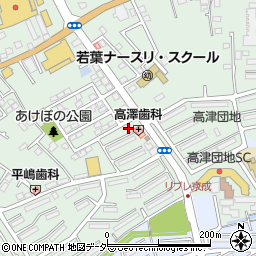 江野沢ビル周辺の地図