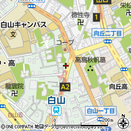 東京都文京区白山5丁目33-16周辺の地図