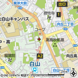 東京都文京区白山5丁目33周辺の地図
